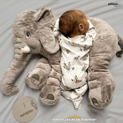 Riesiges Elefantenkissen